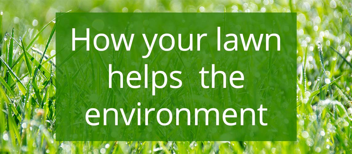 How your lawn helps the environment